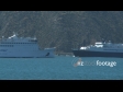 Wellington Boats Crossing 1 1009